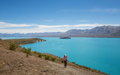 Hike the Mt John Summit Circuit Track at Lake Tekapo