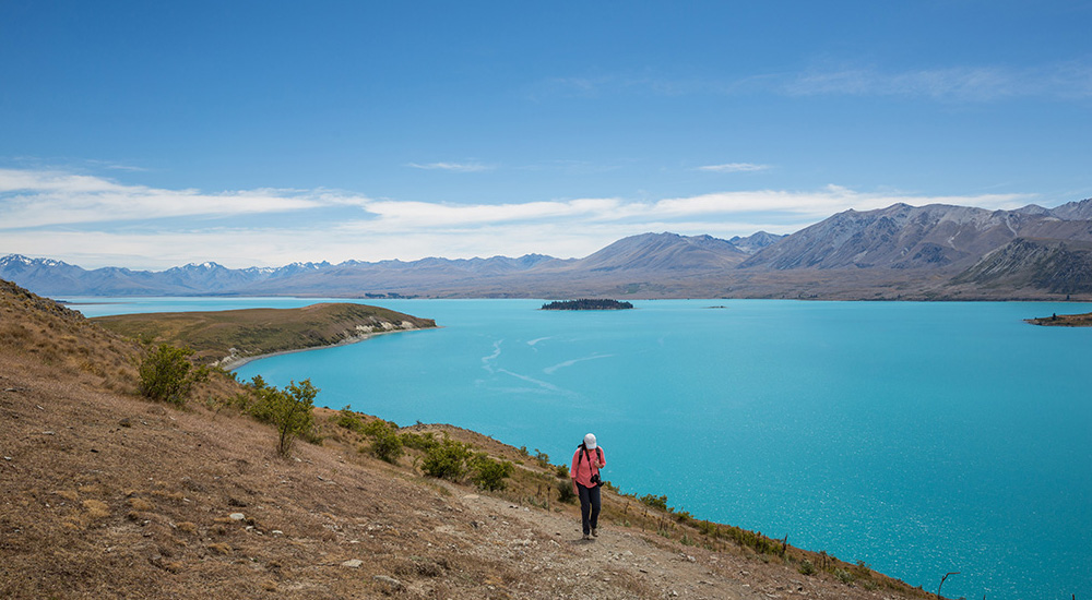 Hike the Mt John Summit Circuit Track at Lake Tekapo